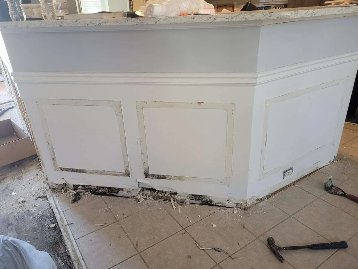 Water damage and mold on kitchen during Sewage Cleanup & Sanitation in Belle Isle